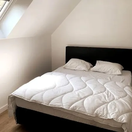 La40 Statig Gerenoveerd Huis In Hartje Nieuwpoort-stad